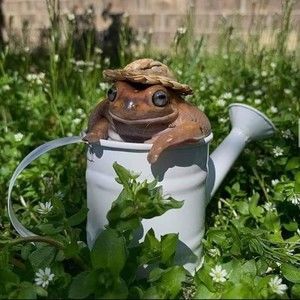 Meet your Posher, Posh